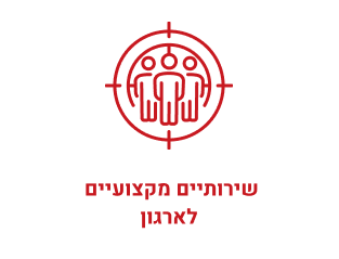 שירותים מקצועיים לארגון